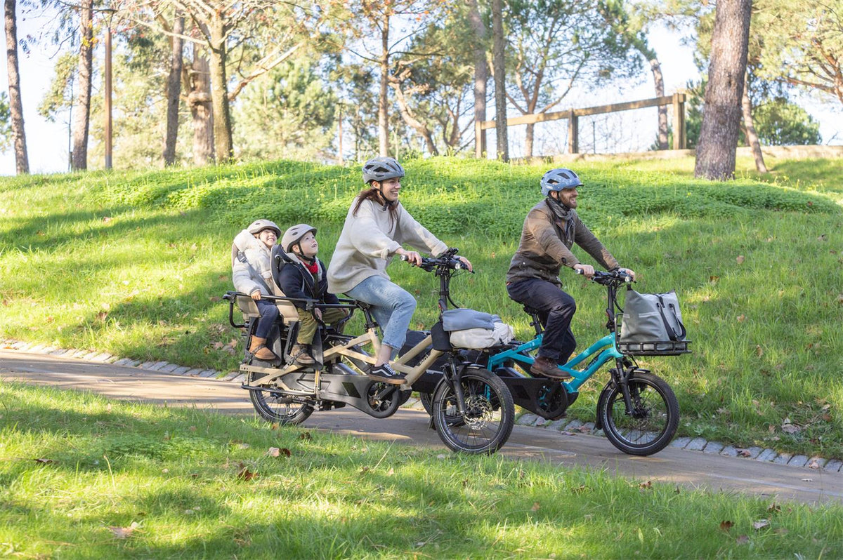 Tern GSD S10 20" E-Cargo Bike 400Wh Battery