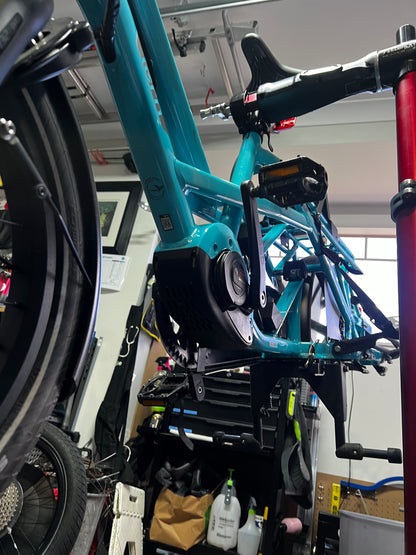 Bike Builds (Adult)